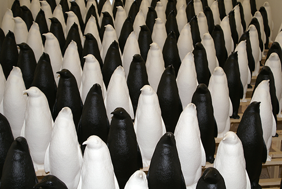 Foto: Werner Scheuermann